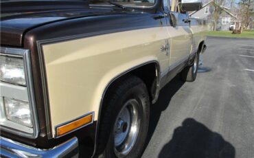 Chevrolet-Other-Pickups-1985-TruckPickup-33