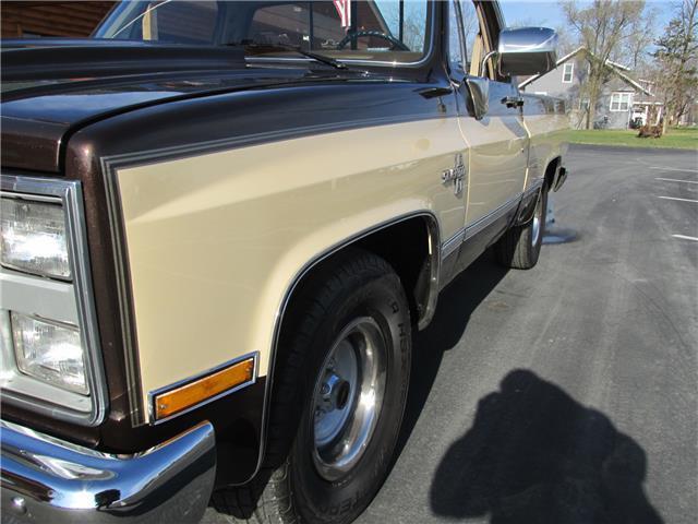 Chevrolet-Other-Pickups-1985-TruckPickup-33