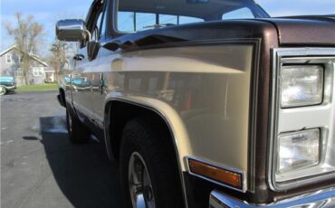 Chevrolet-Other-Pickups-1985-TruckPickup-34