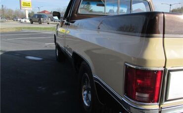 Chevrolet-Other-Pickups-1985-TruckPickup-35