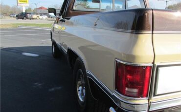 Chevrolet-Other-Pickups-1985-TruckPickup-36