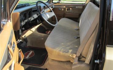 Chevrolet-Other-Pickups-1985-TruckPickup-39