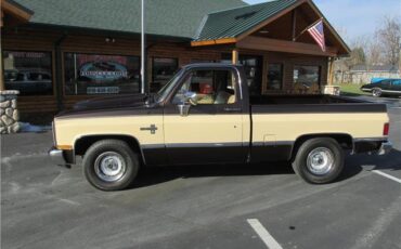Chevrolet-Other-Pickups-1985-TruckPickup-4