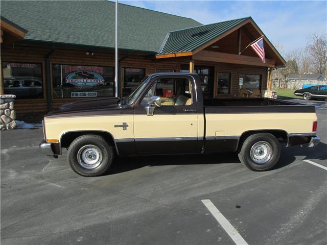 Chevrolet-Other-Pickups-1985-TruckPickup-4