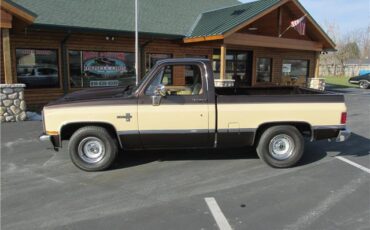 Chevrolet-Other-Pickups-1985-TruckPickup-5