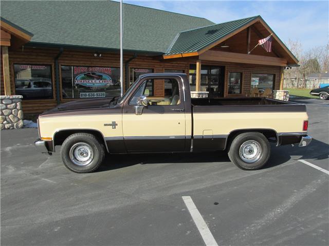 Chevrolet-Other-Pickups-1985-TruckPickup-5