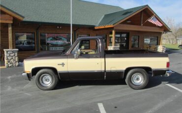 Chevrolet-Other-Pickups-1985-TruckPickup-6