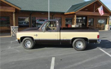 Chevrolet-Other-Pickups-1985-TruckPickup-8