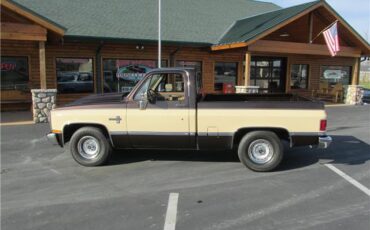 Chevrolet-Other-Pickups-1985-TruckPickup-9
