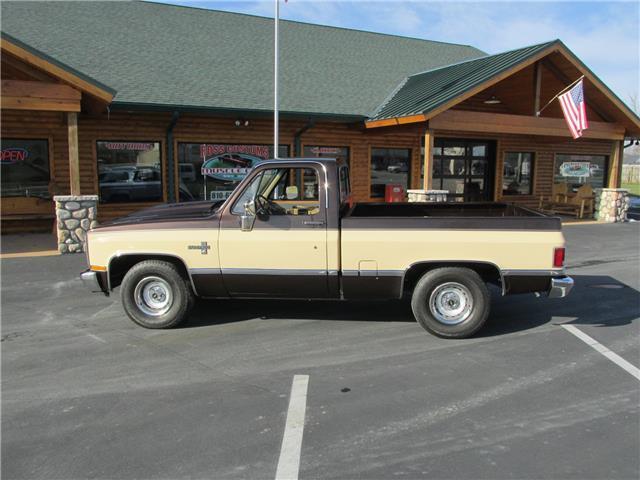 Chevrolet-Other-Pickups-1985-TruckPickup-9