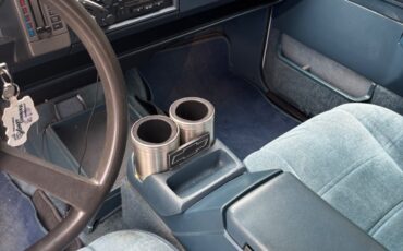 Chevrolet-Other-Pickups-1993-10