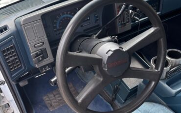 Chevrolet-Other-Pickups-1993-11