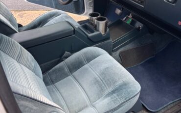 Chevrolet-Other-Pickups-1993-13