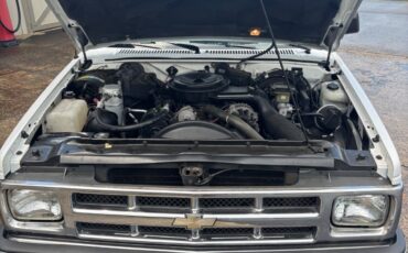 Chevrolet-Other-Pickups-1993-14