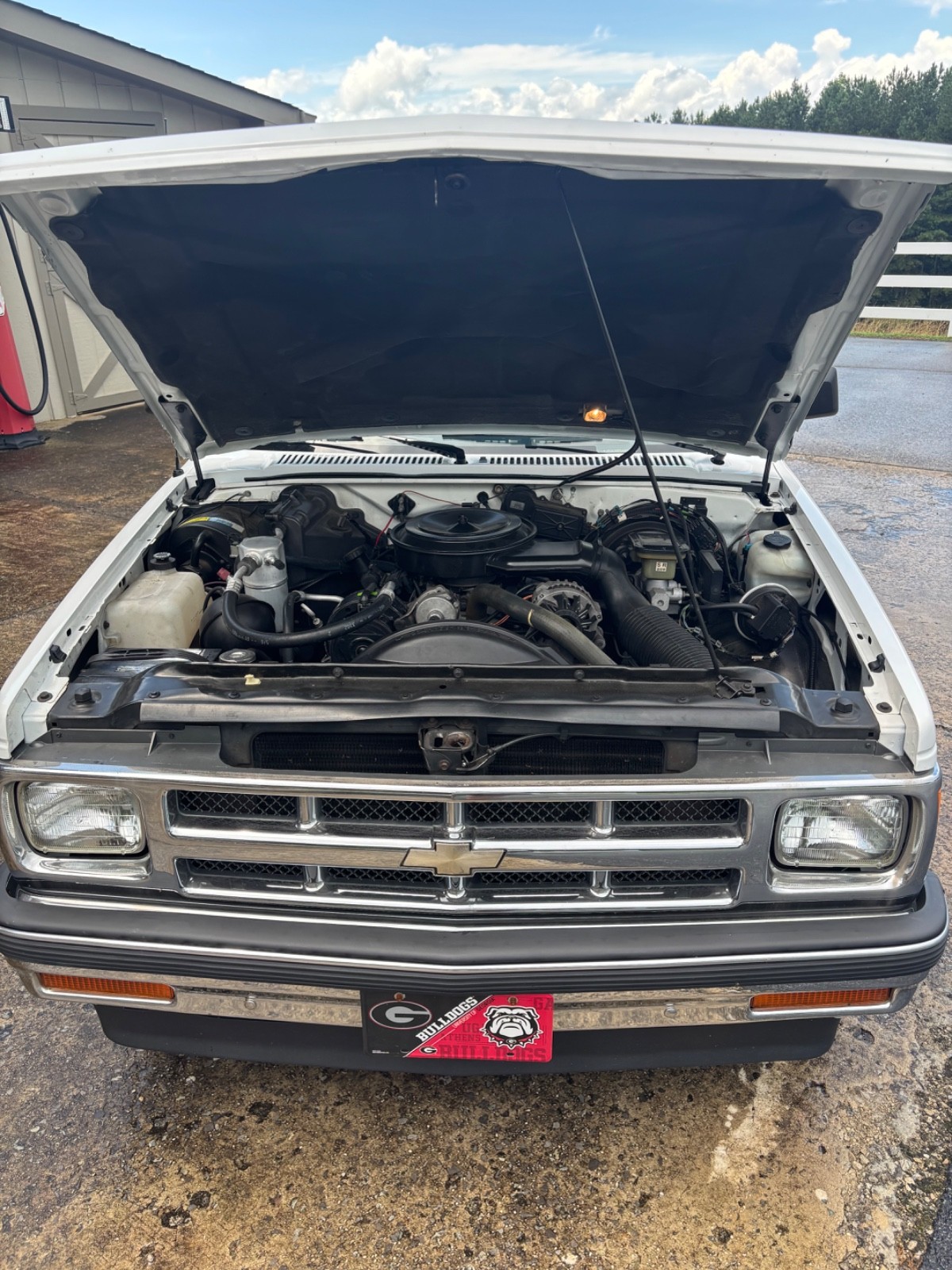 Chevrolet-Other-Pickups-1993-14