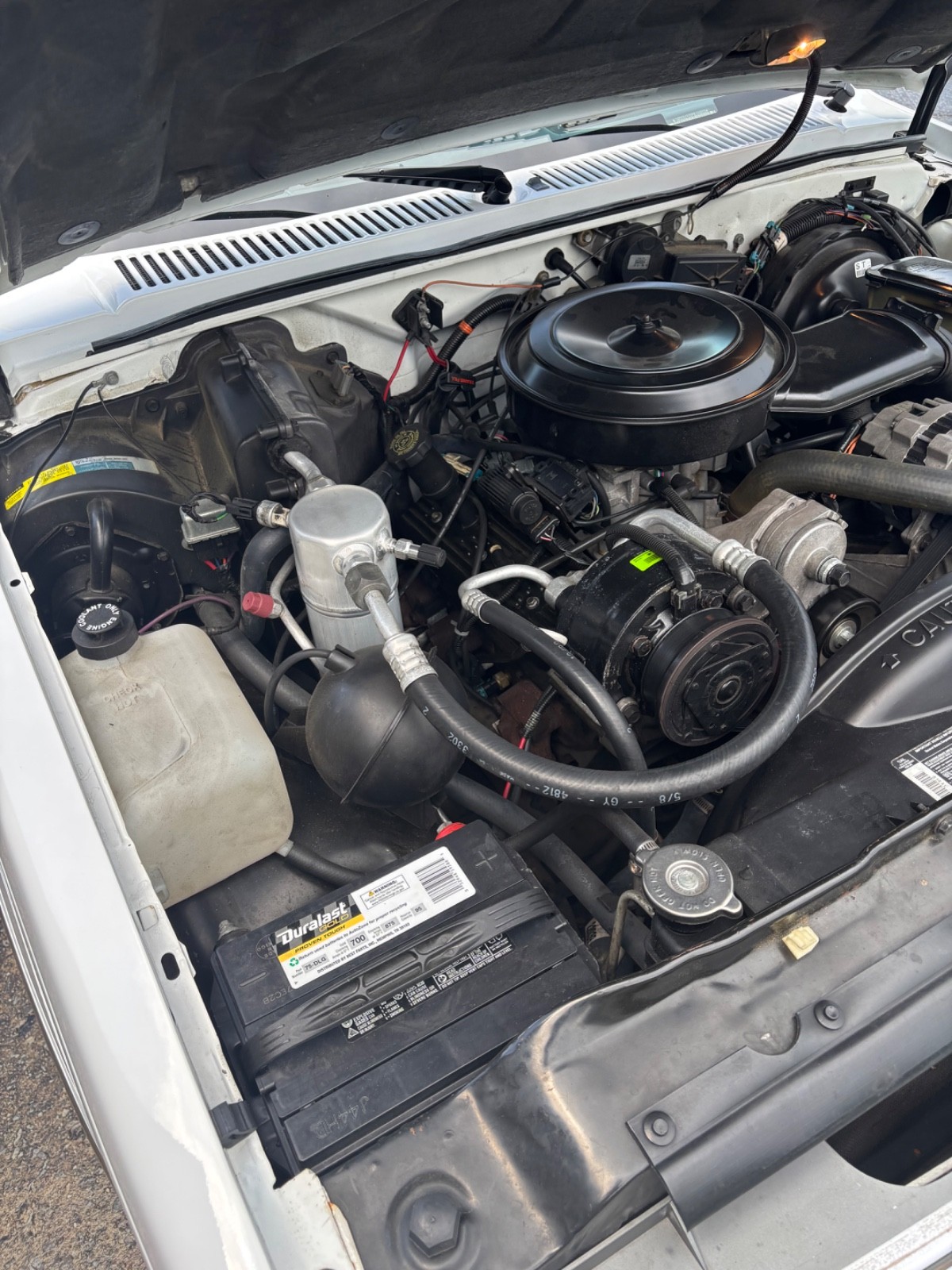 Chevrolet-Other-Pickups-1993-17