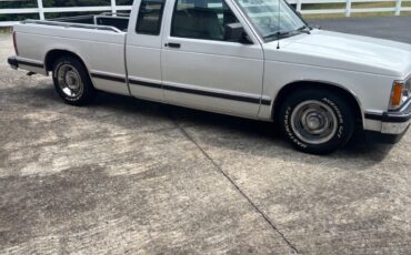 Chevrolet-Other-Pickups-1993-3