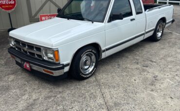 Chevrolet-Other-Pickups-1993