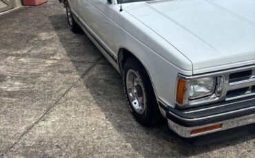 Chevrolet-Other-Pickups-1993-4
