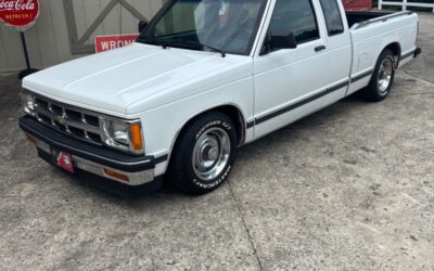 Chevrolet Other Pickups 1993