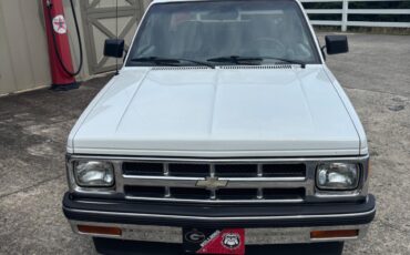 Chevrolet-Other-Pickups-1993-5