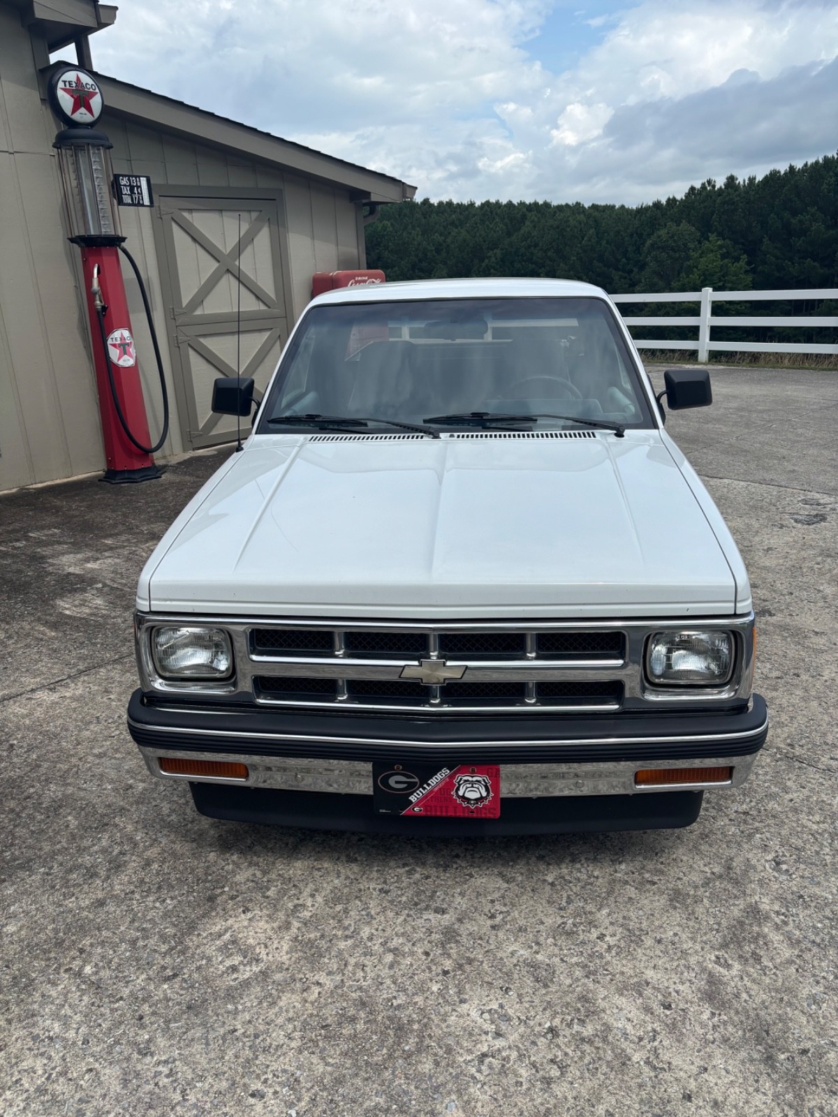 Chevrolet-Other-Pickups-1993-5