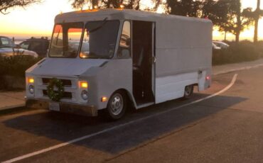 Chevrolet-P20-1979-Custom