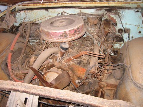 Chevrolet-Parkwood-1961-5
