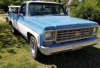 Chevrolet-Pickup-1976-1