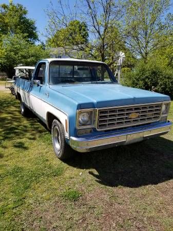 Chevrolet-Pickup-1976-1