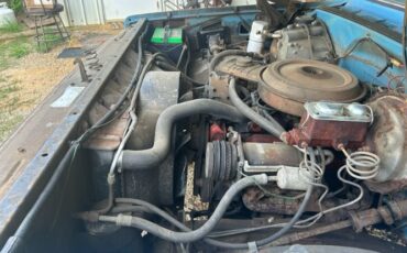 Chevrolet-Pickup-1976-17