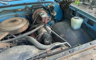 Chevrolet-Pickup-1976-18