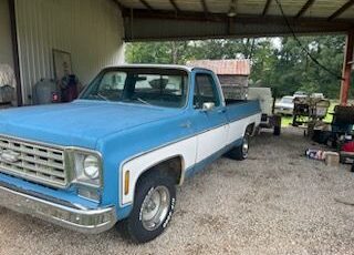 Chevrolet-Pickup-1976-3