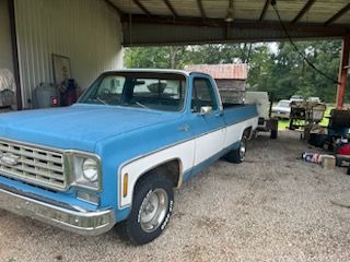 Chevrolet-Pickup-1976-3