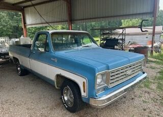 Chevrolet-Pickup-1976