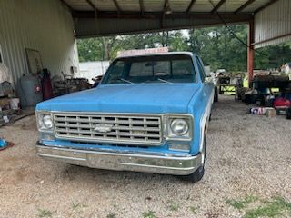Chevrolet-Pickup-1976-6