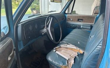 Chevrolet-Pickup-1976-8
