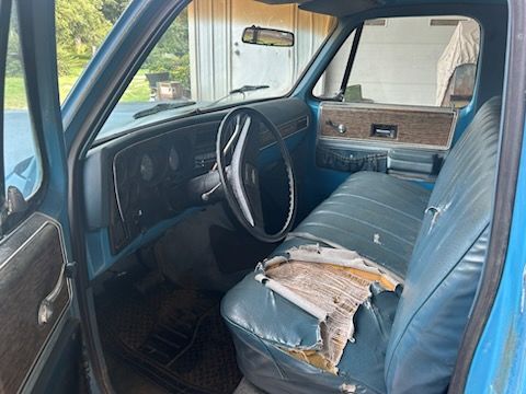Chevrolet-Pickup-1976-8