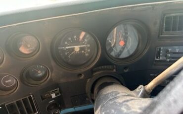 Chevrolet-Pickup-1976-9