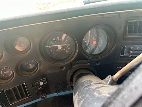 Chevrolet-Pickup-1976-9
