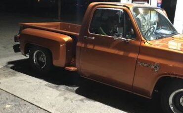 Chevrolet-Pickup-1982-3