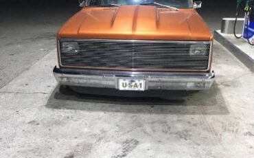 Chevrolet-Pickup-1982