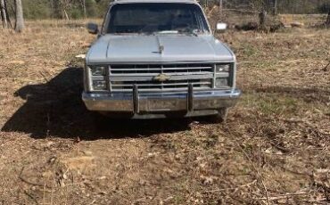 Chevrolet-Pickup-1983-Silver