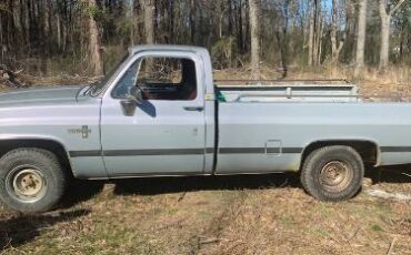 Chevrolet-Pickup-1983-Silver-4