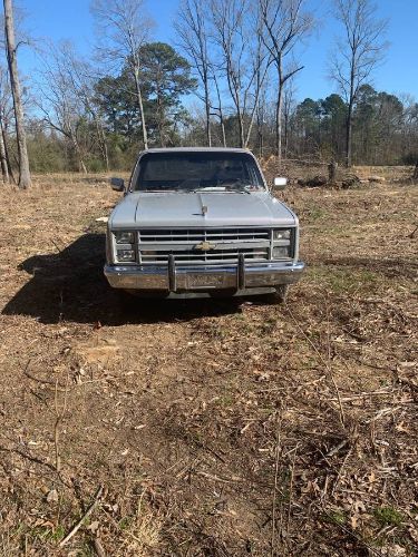 Chevrolet-Pickup-1983-Silver
