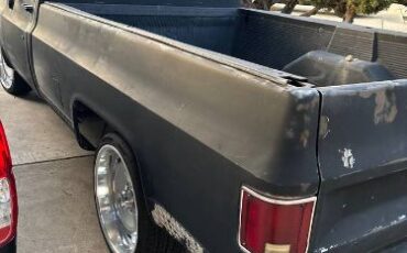 Chevrolet-Pickup-1985-5
