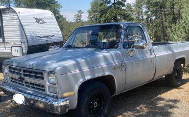 Chevrolet-Pickup-1985-Silver-1