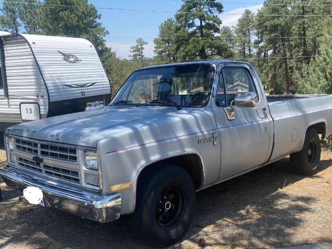 Chevrolet-Pickup-1985-Silver-1