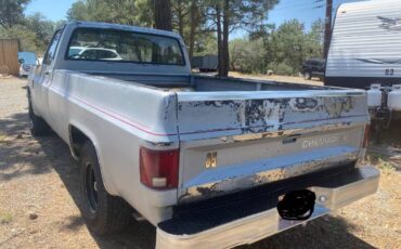 Chevrolet-Pickup-1985-Silver-2