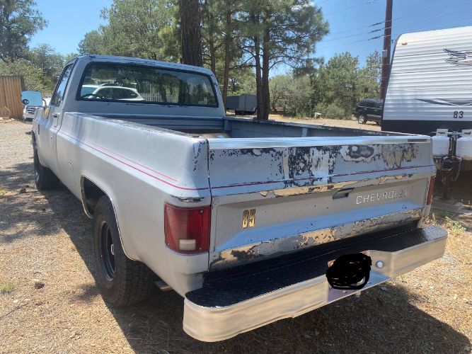 Chevrolet-Pickup-1985-Silver-2
